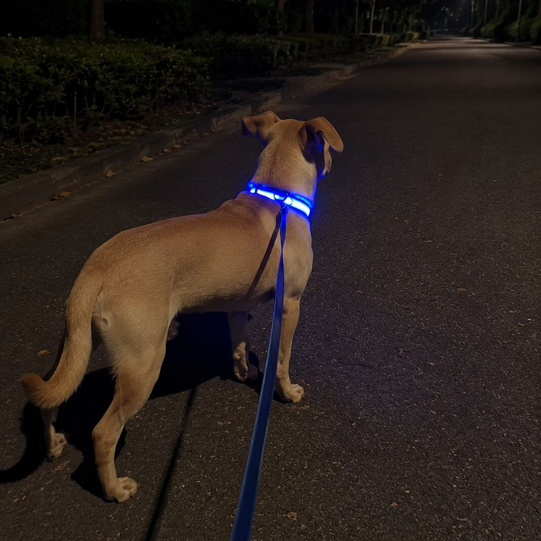 LED Pet Collar 🐾 夜のお散歩をもっと安全に！LED点滅ペット首輪